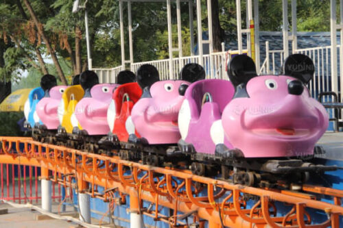 Hot-selling Crazy Mouse Roller Coaster Car for Sale